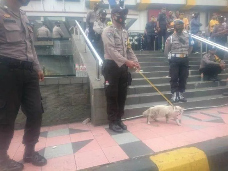 Picdump 530 - #2 