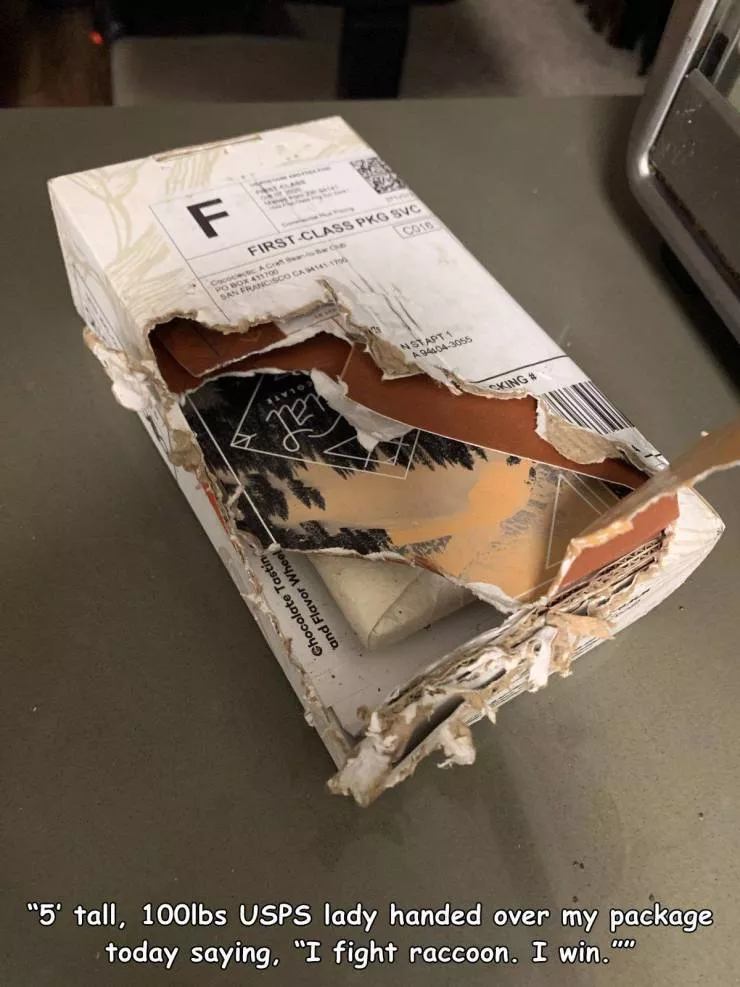 Picdump 530 - #43 