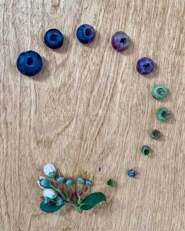 Perfectionism is an art - #19 