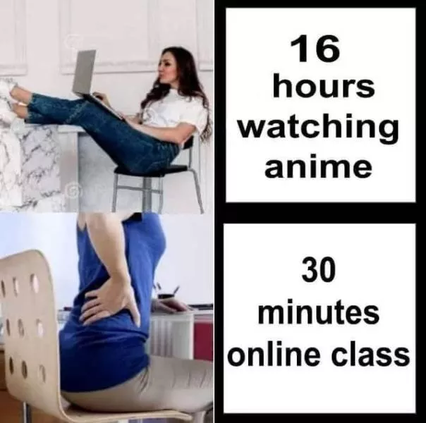A collection of funny photos