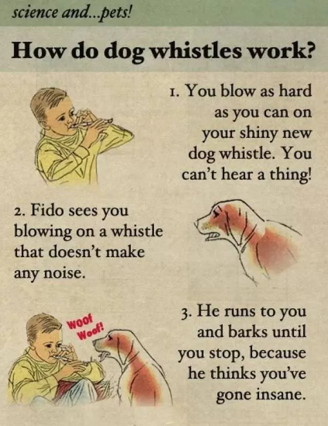 A collection of funny photos