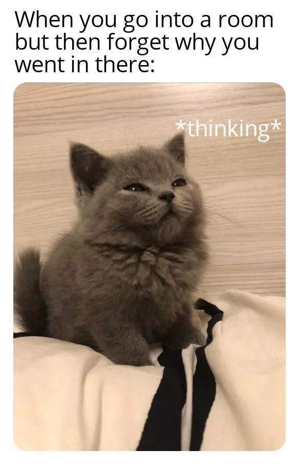 A collection of funny photos - #8 