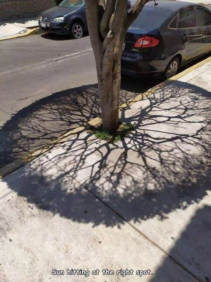 Picdump 532 - #11 