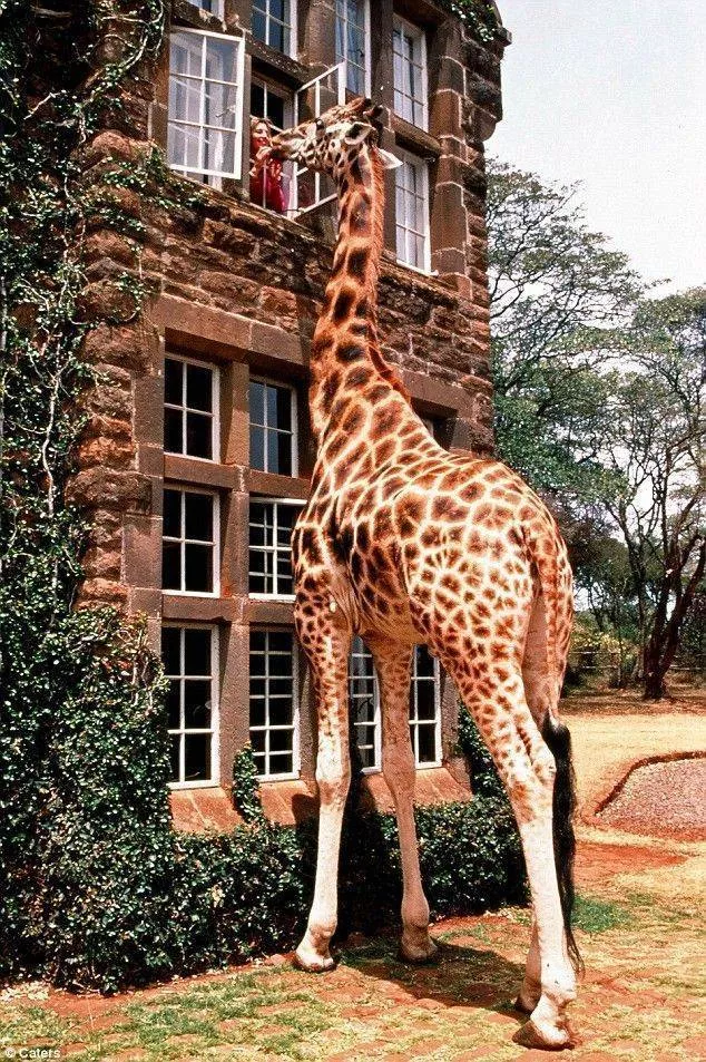 Picdump 532