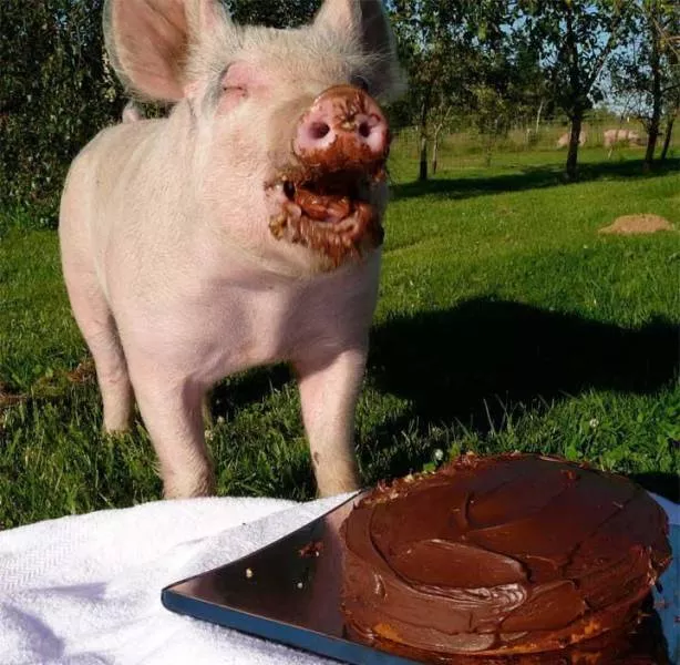 Picdump 532 - #4 