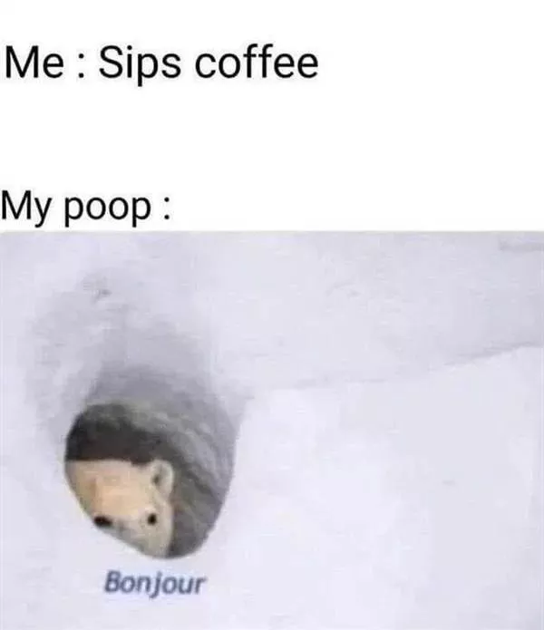 A collection of funny photos - #11 