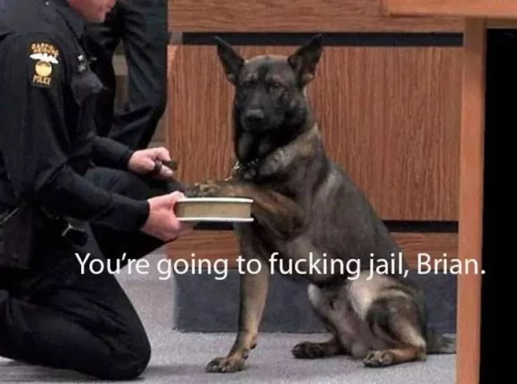 A collection of funny photos - #12 