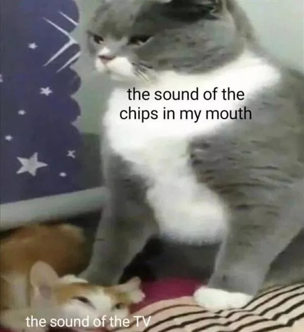 A collection of funny photos - #19 