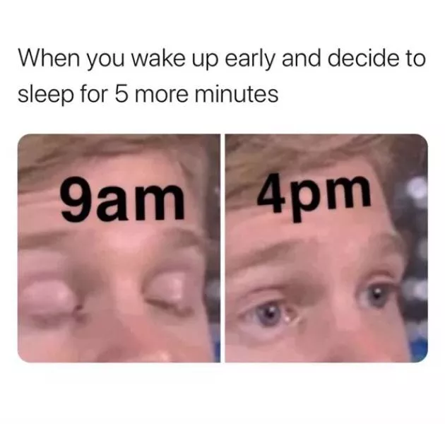 A collection of funny photos