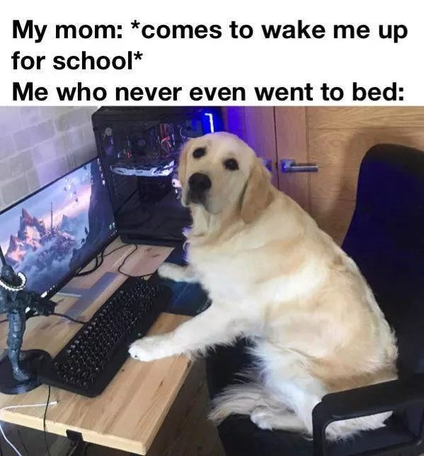A collection of funny photos - #25 