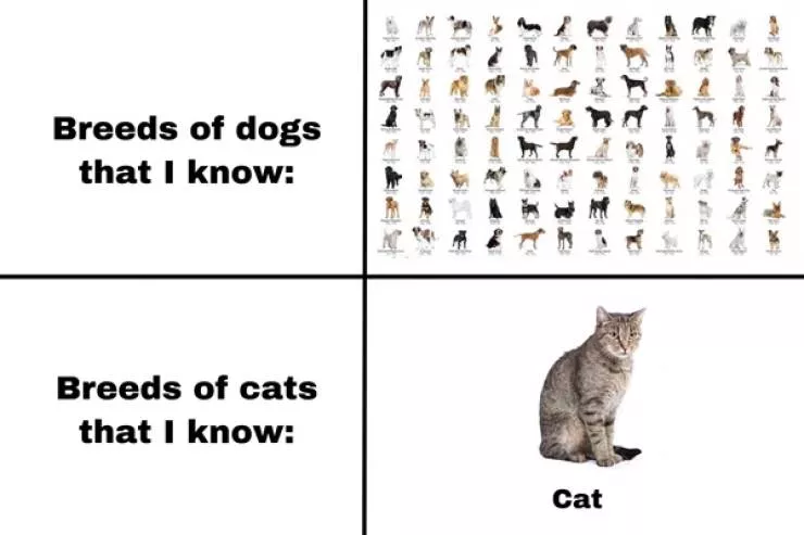 A collection of funny photos - #26 