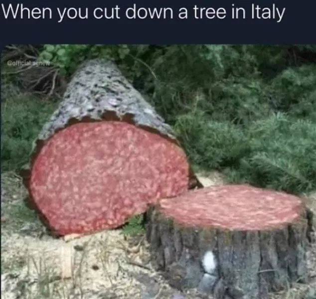 A collection of funny photos - #7 