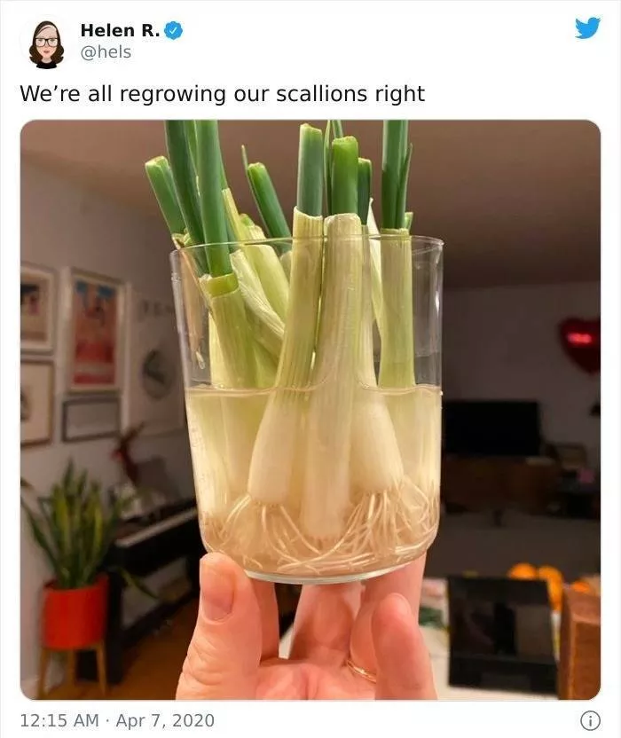 How to save our groceries
