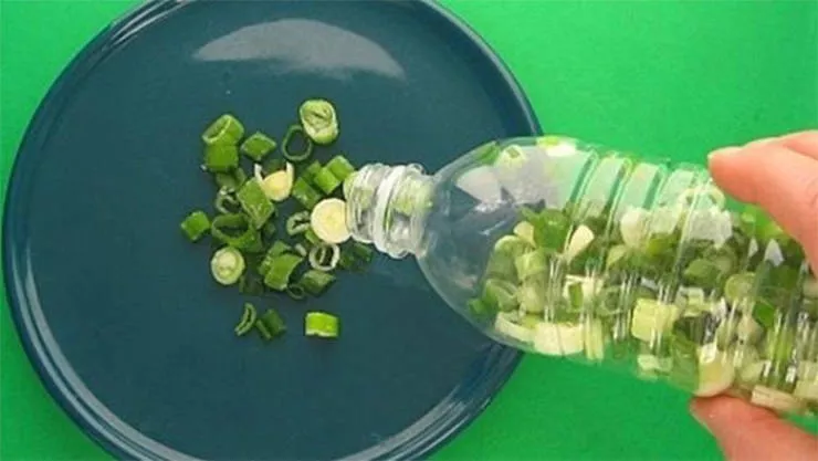 How to save our groceries - #8 