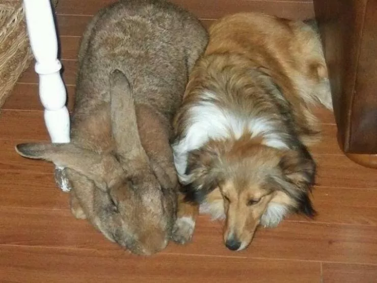 Picdump 533 - #33 