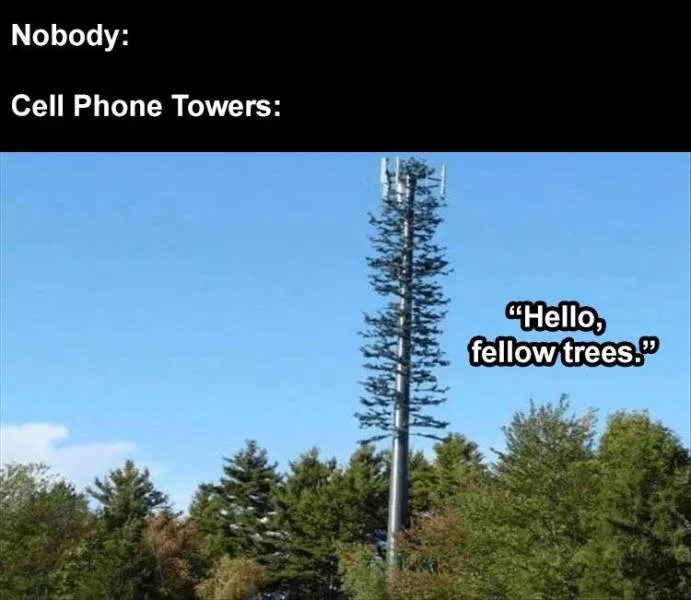 Funny meme of the week - #11 