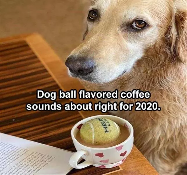 Funny meme of the week - #13 