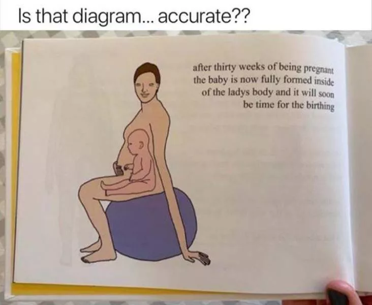 Funny meme of the week