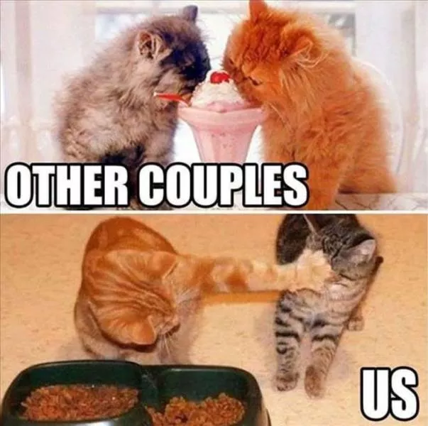 Funny meme of the week - #30 