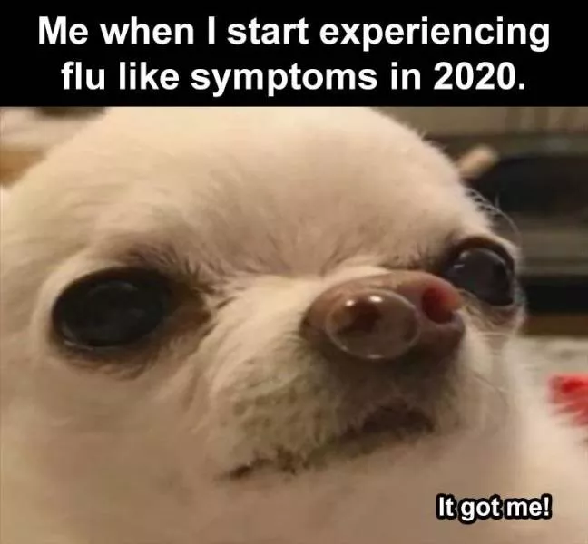 Funny meme of the week - #9 