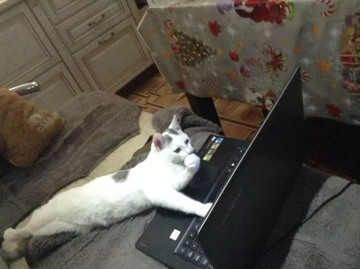 Picdump 534 - #24 