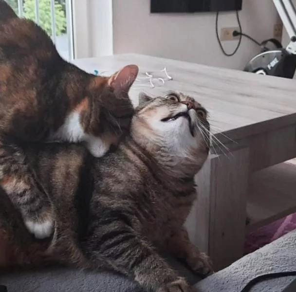 Picdump 534 - #37 