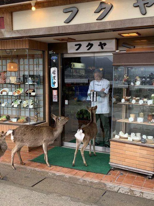 Picdump 534 - #40 