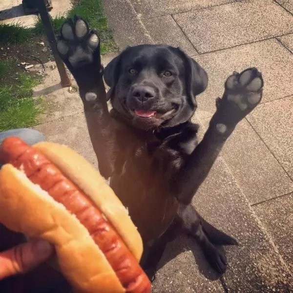 Picdump 534 - #53 