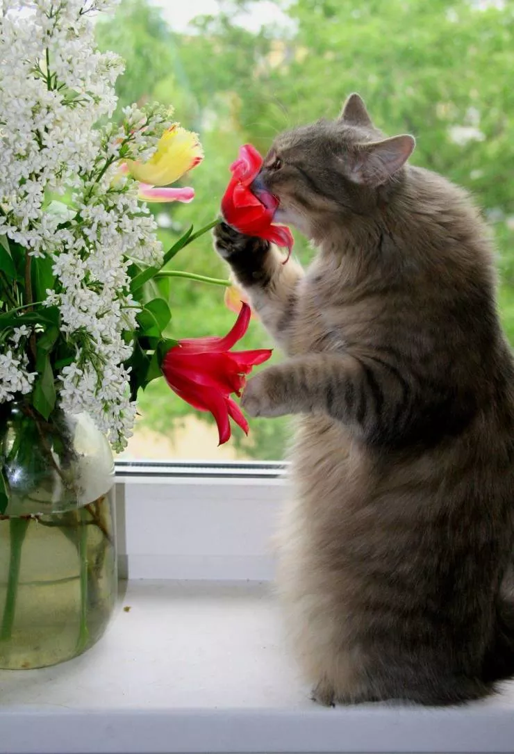 Picdump 534 - #57 