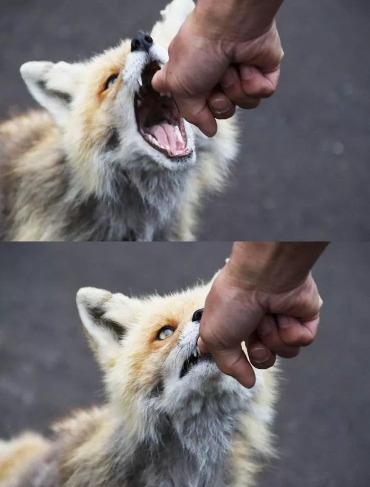 Picdump 534 - #60 