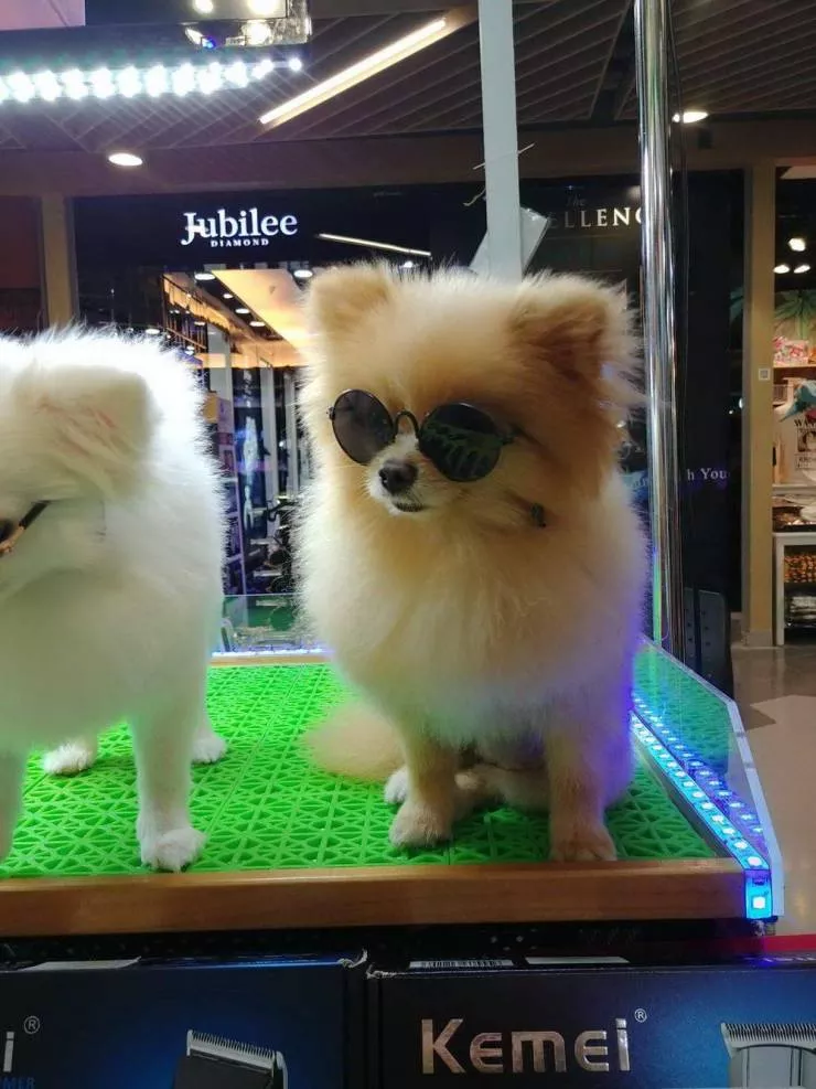 Picdump 534 - #62 