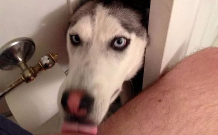 Picdump 534 - #64 