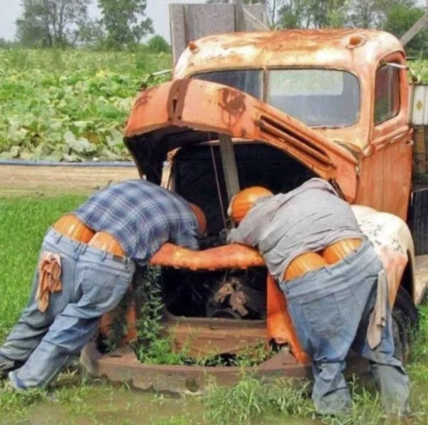 Picdump 534 - #65 