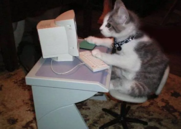 Picdump 534 - #78 