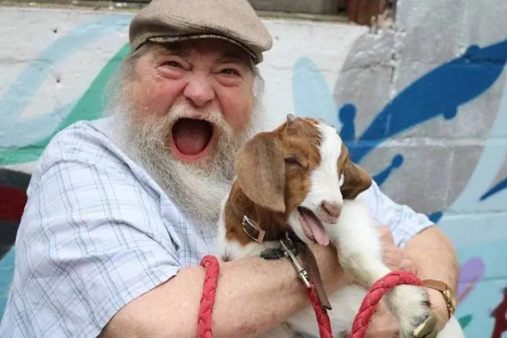 They are cute our fathers - #3 