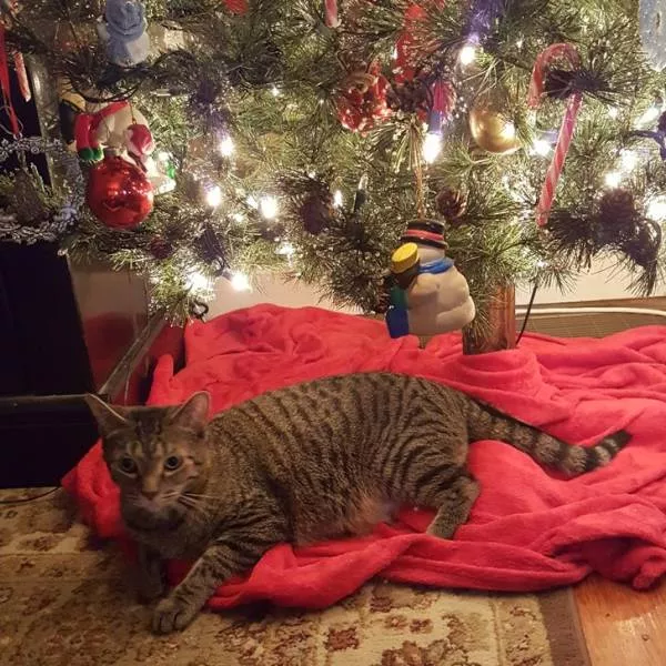 A gift idea - #21 