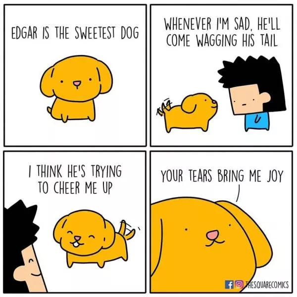 Dark humor the square comics - #13 