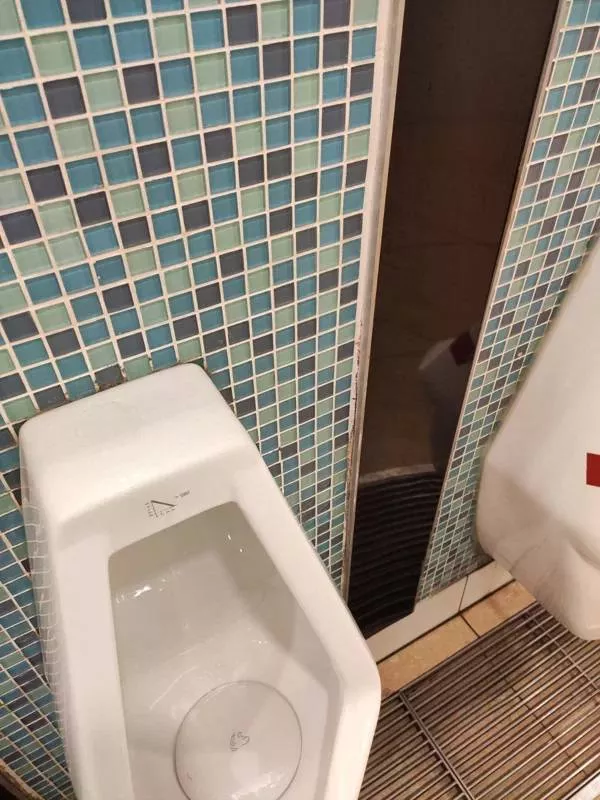 The most unusual and bizarre toilets in the world - #18 