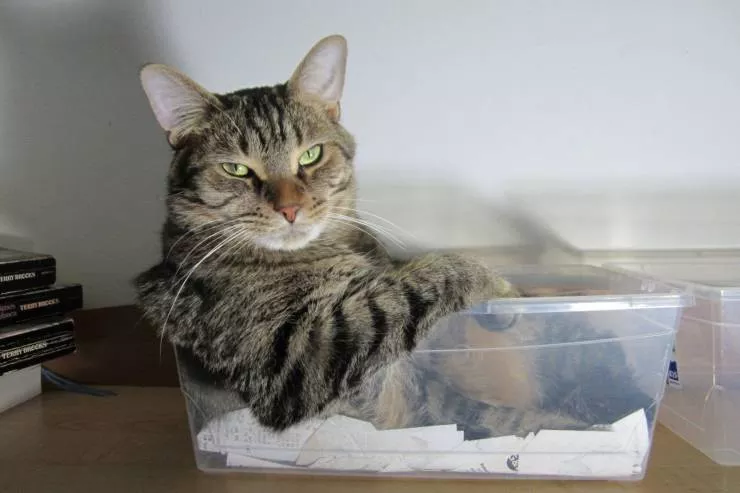 Picdump 535 - #12 