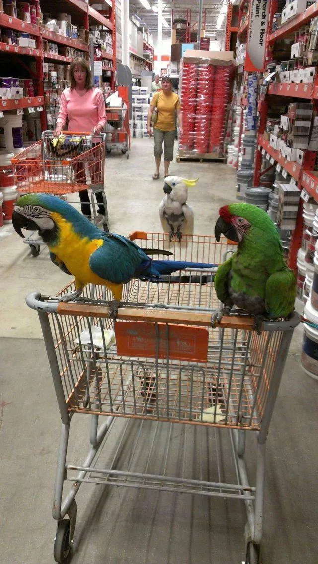 Picdump 535 - #35 