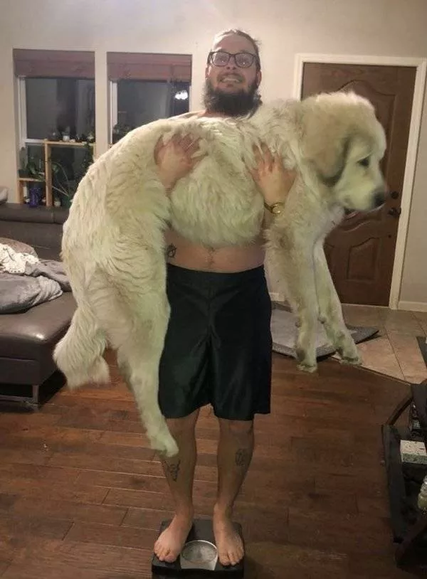 Giant animals - #19 Just 7 months