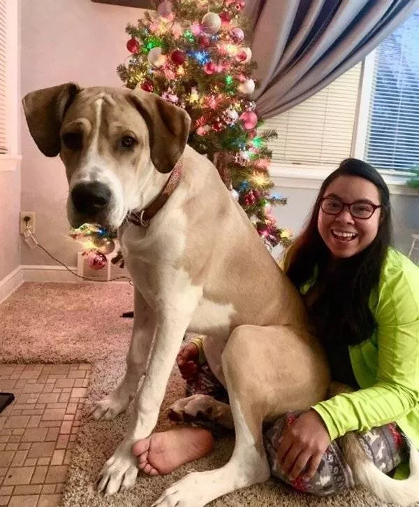 Giant animals - #20 7 months too