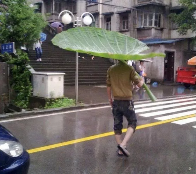 Picdump 538 - #5 For his giant toad Picdump 538 - #5 For his giant toad
