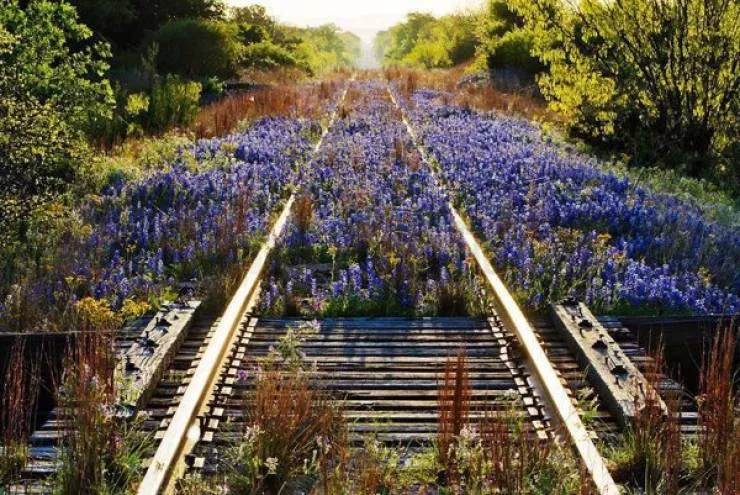 Top 20 des places abandonnes - #10 La force de la nature 