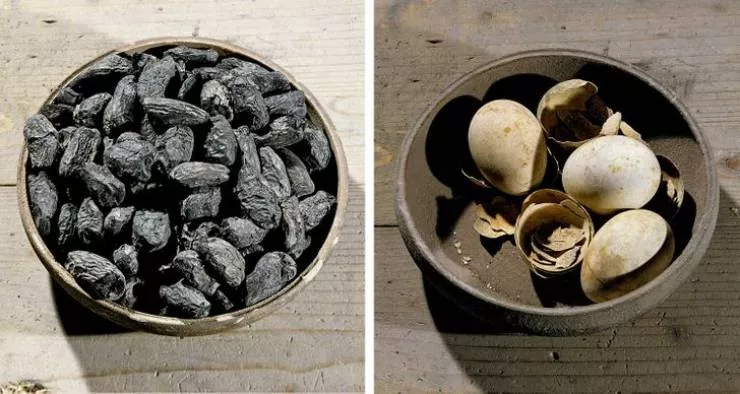 Prehistoric animals - #2 Food in Pompeii, 2000 years old