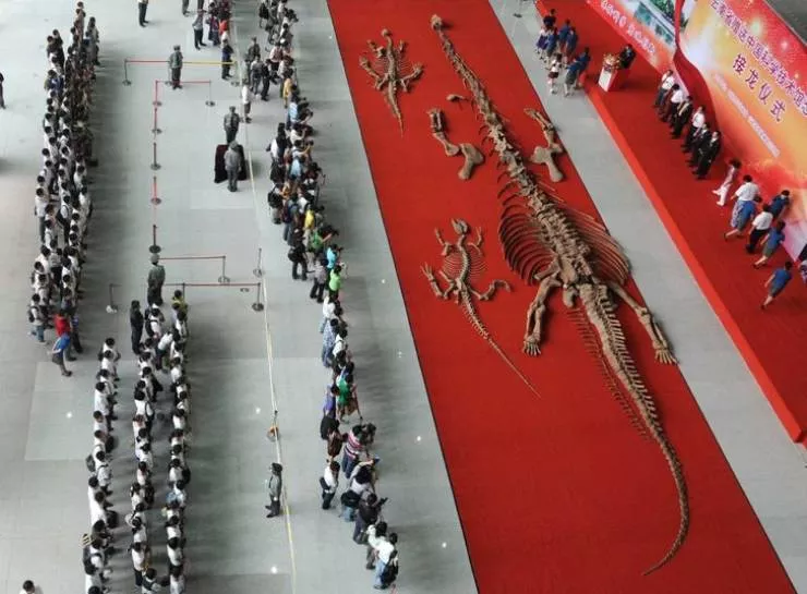 Prehistoric animals - #9 Chuanjiesaurus anaensis, 174 million years