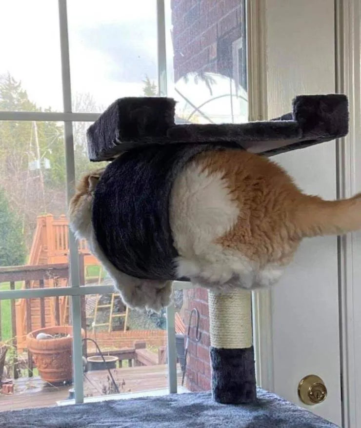 Picdump 539 - #18 Finally another position