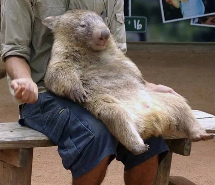 Picdump 539 - #28 