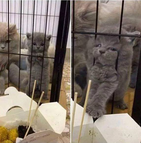 Picdump 539 - #48 
