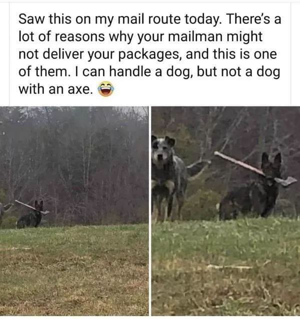 A collection of funny photos - #26 